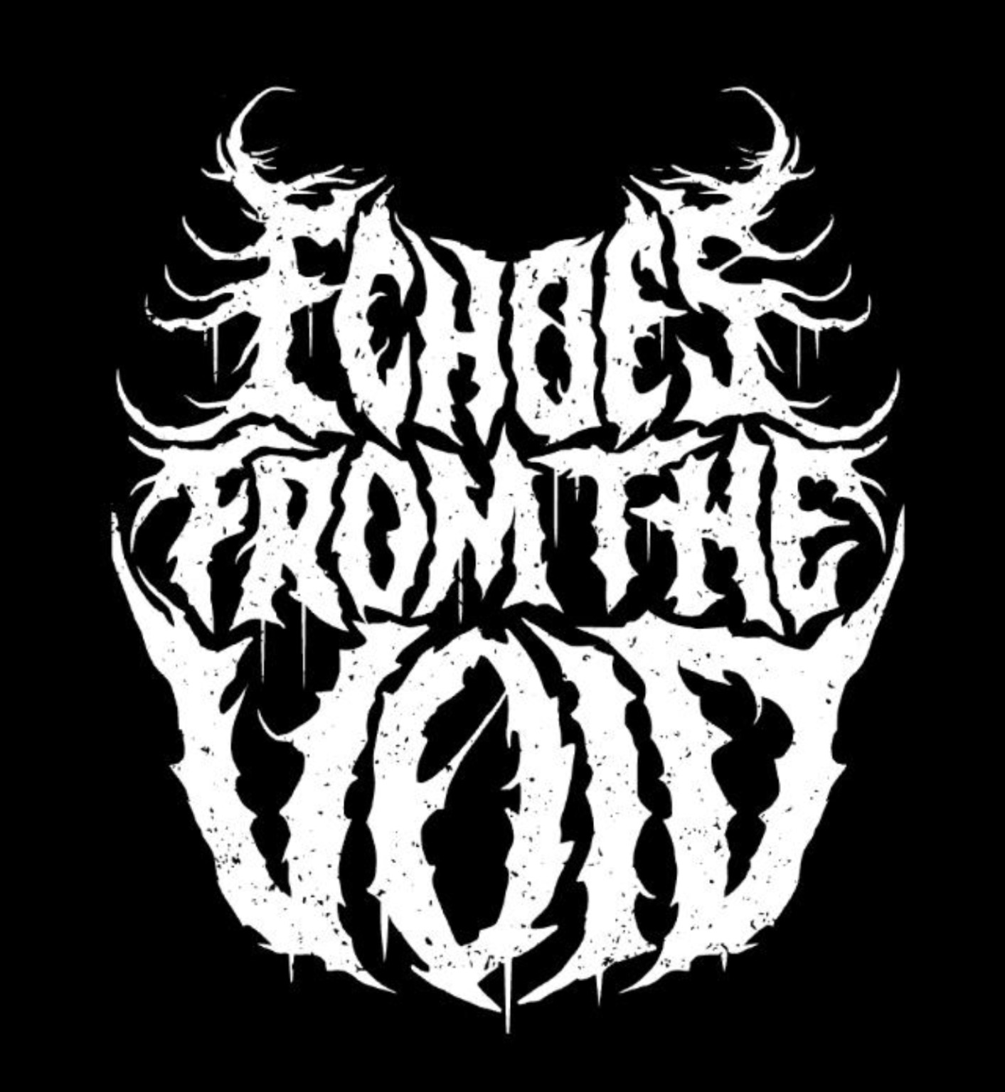 Echoes From The Void